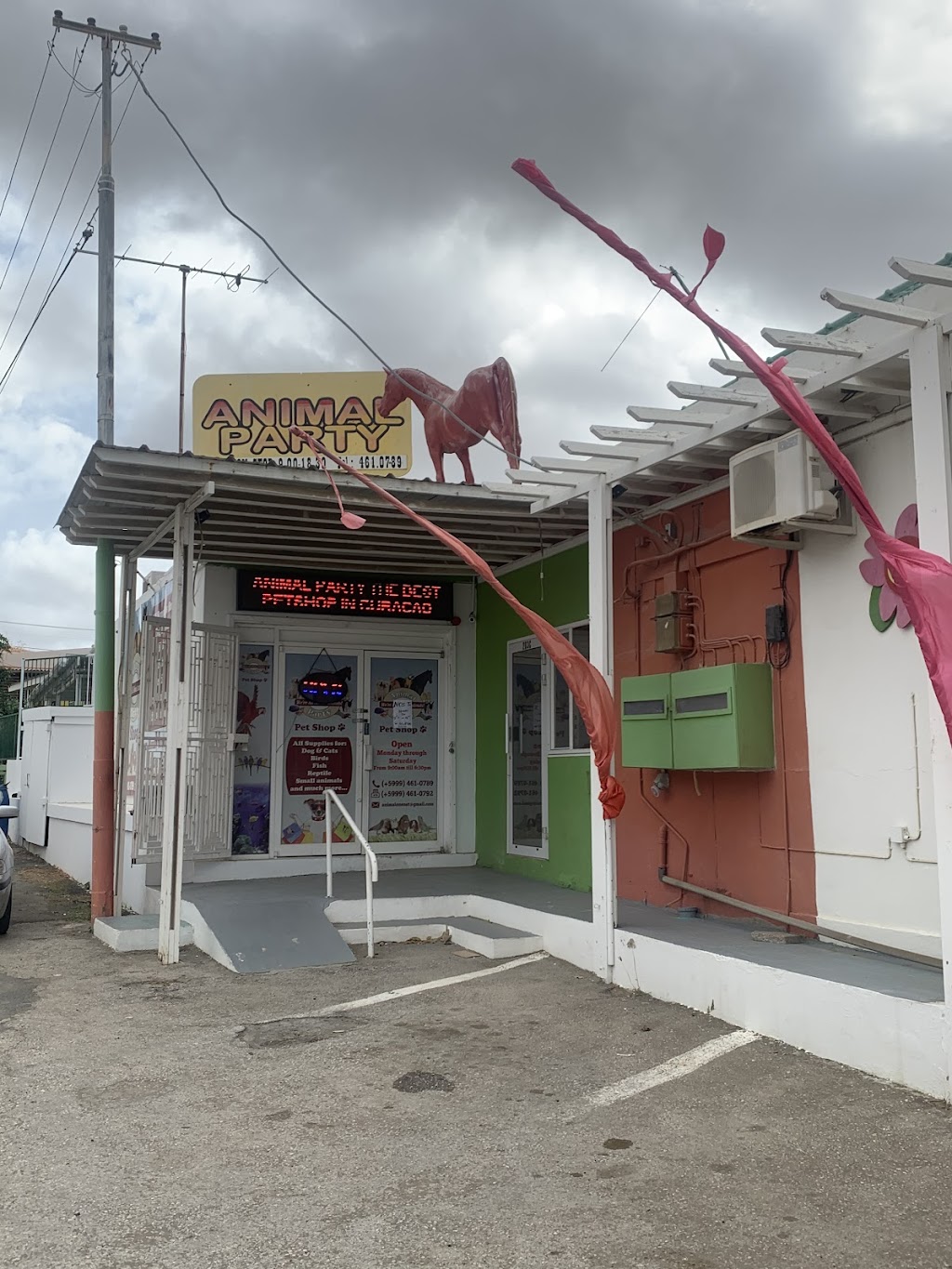 Animal Party Curacao