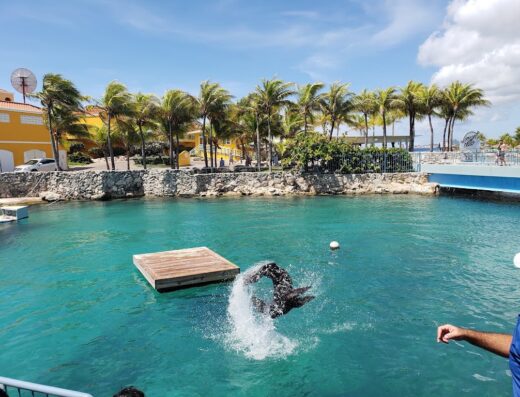 Curaçao Sea Aquarium