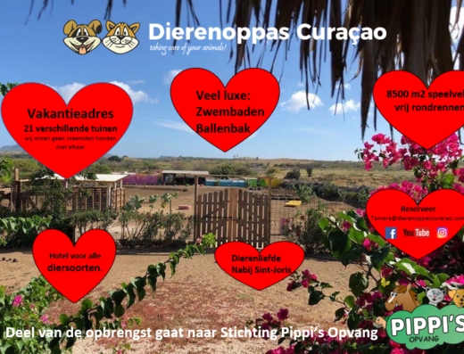 Dierenoppas Curaçao
