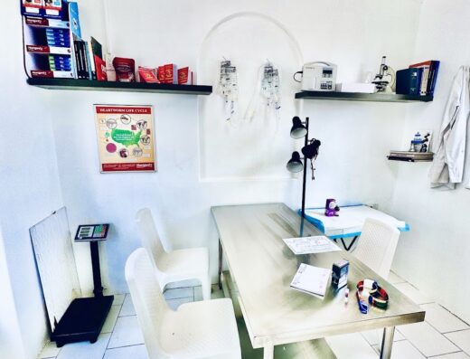 EMERVET (Veterinary Emergency Clinic)
