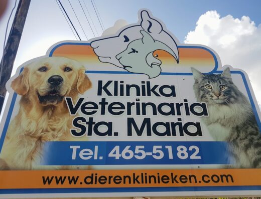 Klinika Veterinaria Santa Maria