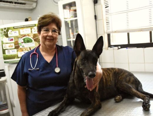 Veterinary Practice Rossy Zoetrum