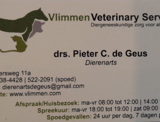 Vlimmen Veterinary Services | Dierenarts Curacao
