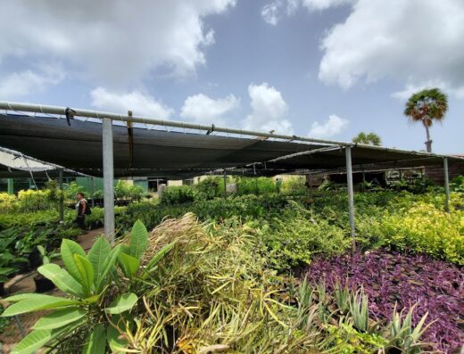 Dijtham Gardening