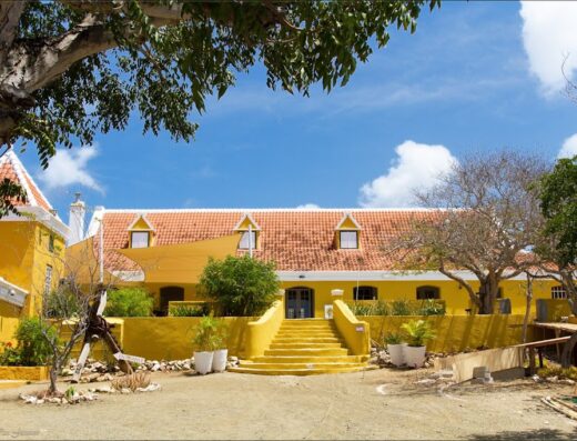 Manor Knip