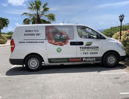 Termigon Pest Solutions